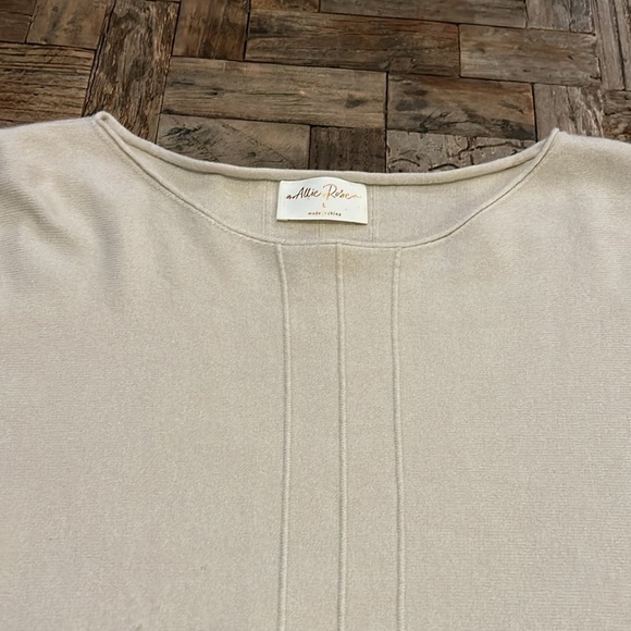 Allie Rose Dolman Sweater Short Sleeve Top Size Large - Picture 3 of 11